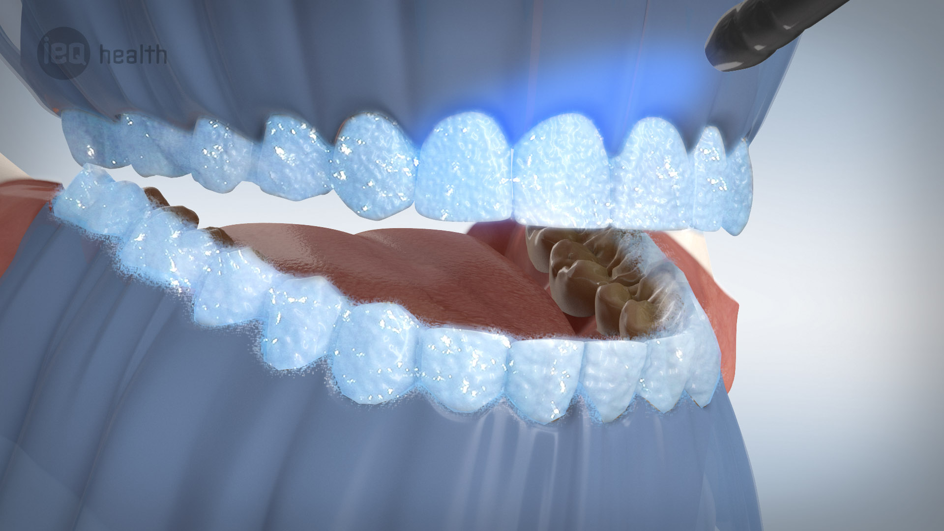 3D Animation